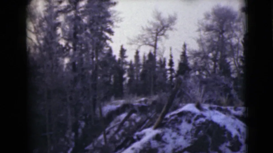 1946 Alaska 8mm view of a snow-dusted hillside, leafless trees, and evergreens seen in soft vintage color.