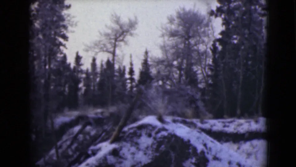 1946 Alaska 8mm frame showing a snowy rocky slope, thin bare trees, evergreens, and pale sky in a quiet winter landscape.