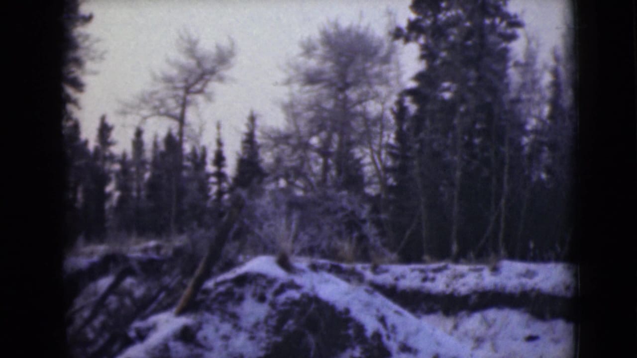 1946 Alaska 8mm frame showing snow-covered uneven ground, bare trees, and evergreens in a winter forest view.