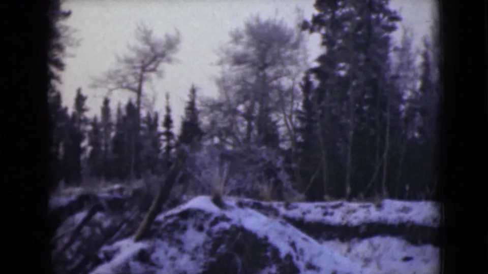 1946 Alaska 8mm frame showing snow-covered uneven ground, bare trees, and evergreens in a winter forest view.
