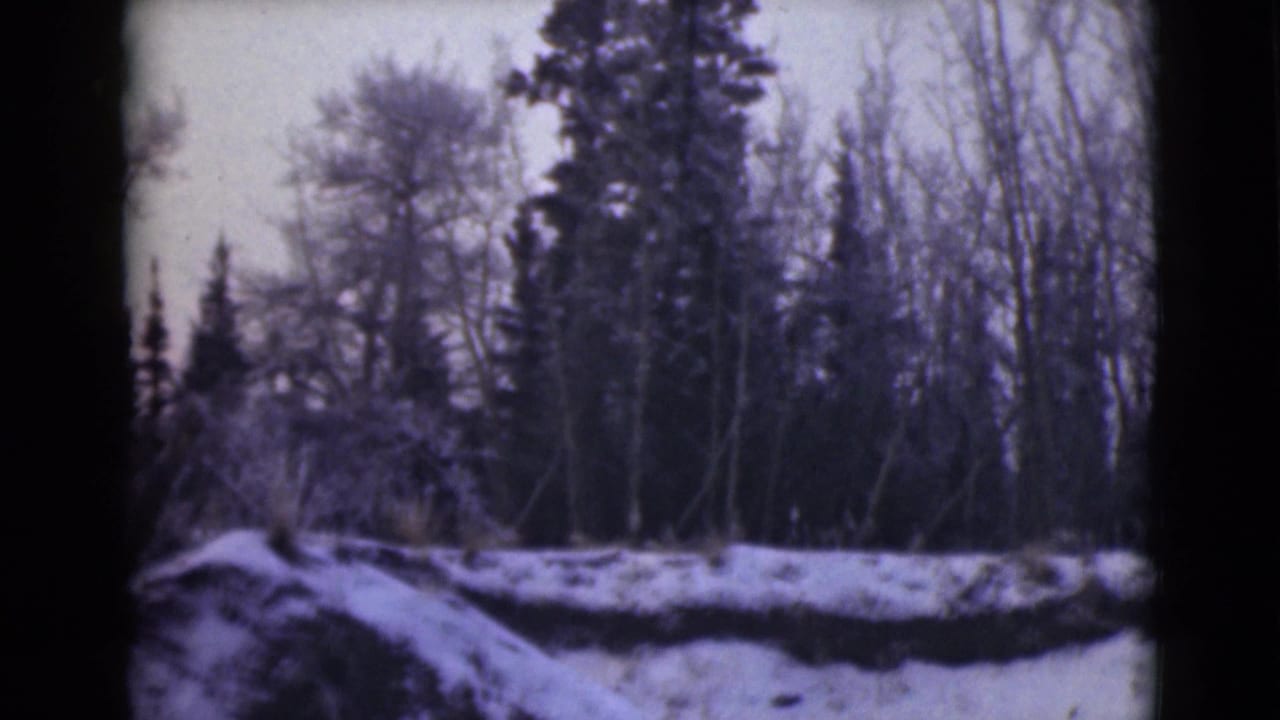 Winter treeline with snow on uneven ground and bare branches above.