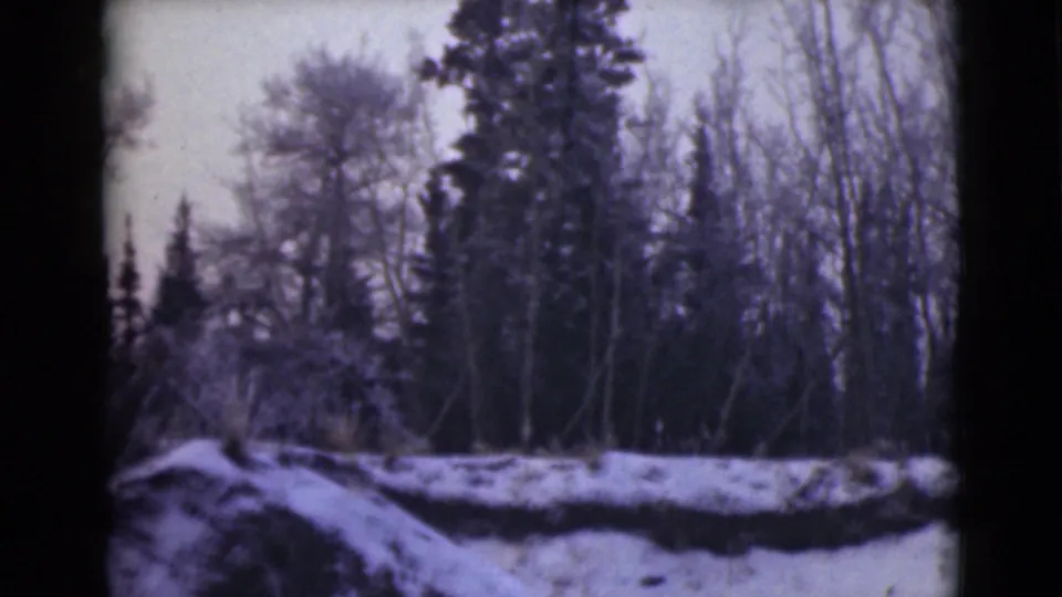 1946 Alaska 8mm frame of a snow-covered wooded bank with bare deciduous trees and evergreens in soft winter light.