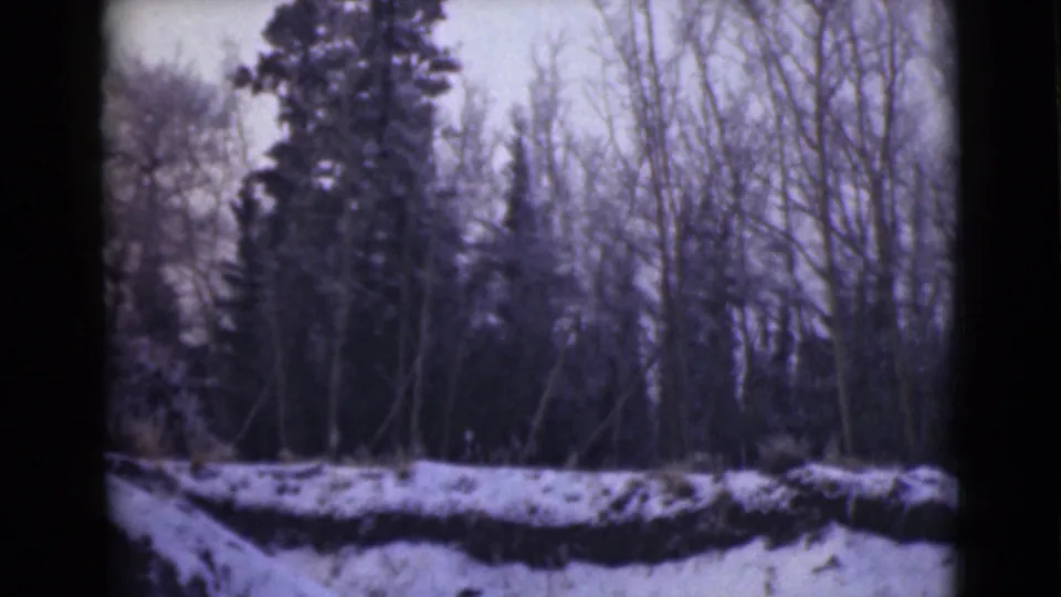 1946 Alaska 8mm frame showing a snow-covered slope below dense leafless trees and a tall evergreen cluster.