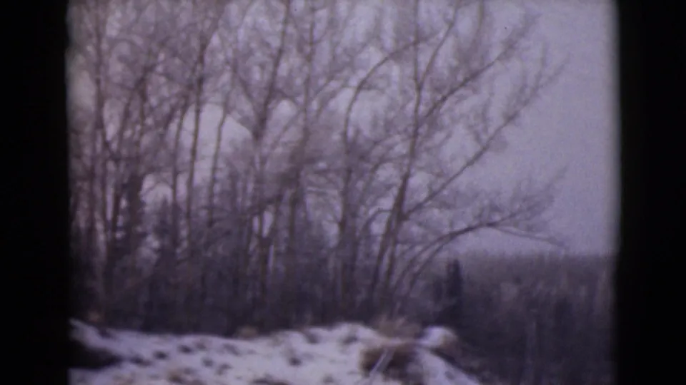 1946 Alaska frame with snow in the foreground, leafless trees, and a distant wooded slope beyond.