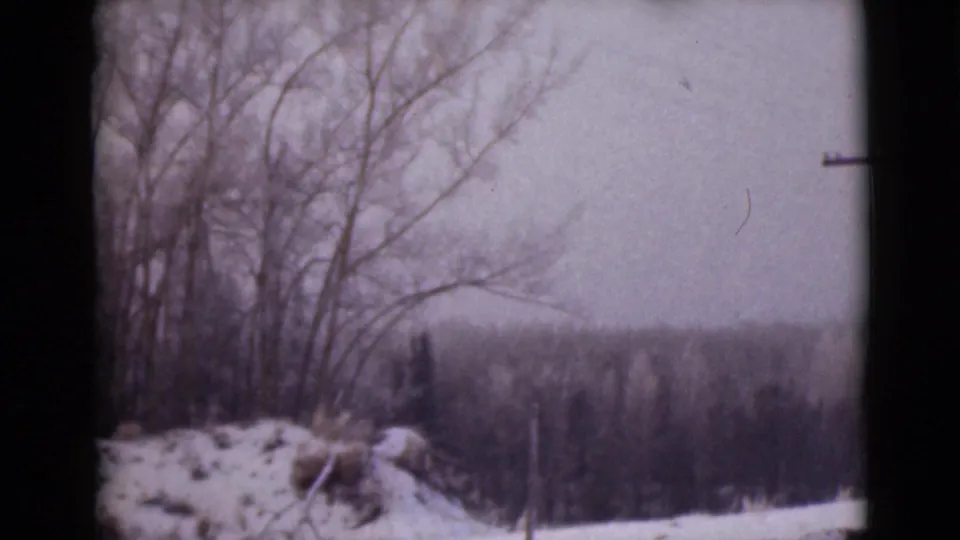 1946 Alaska home-movie view of snowy roadside trees with a distant wooded ridge and visible film borders.