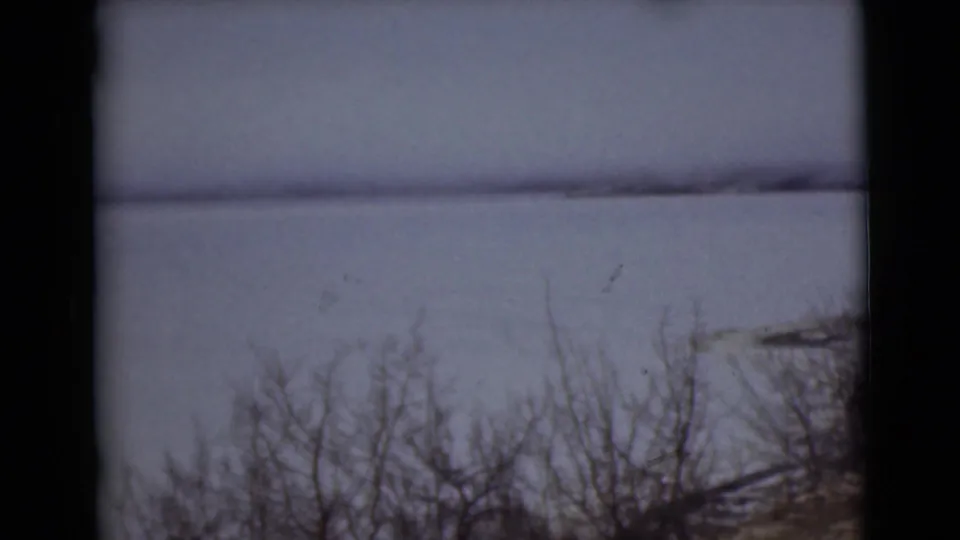 1946 Alaska frame showing a wide frozen lake, bare foreground brush, distant shore, and muted winter sky.
