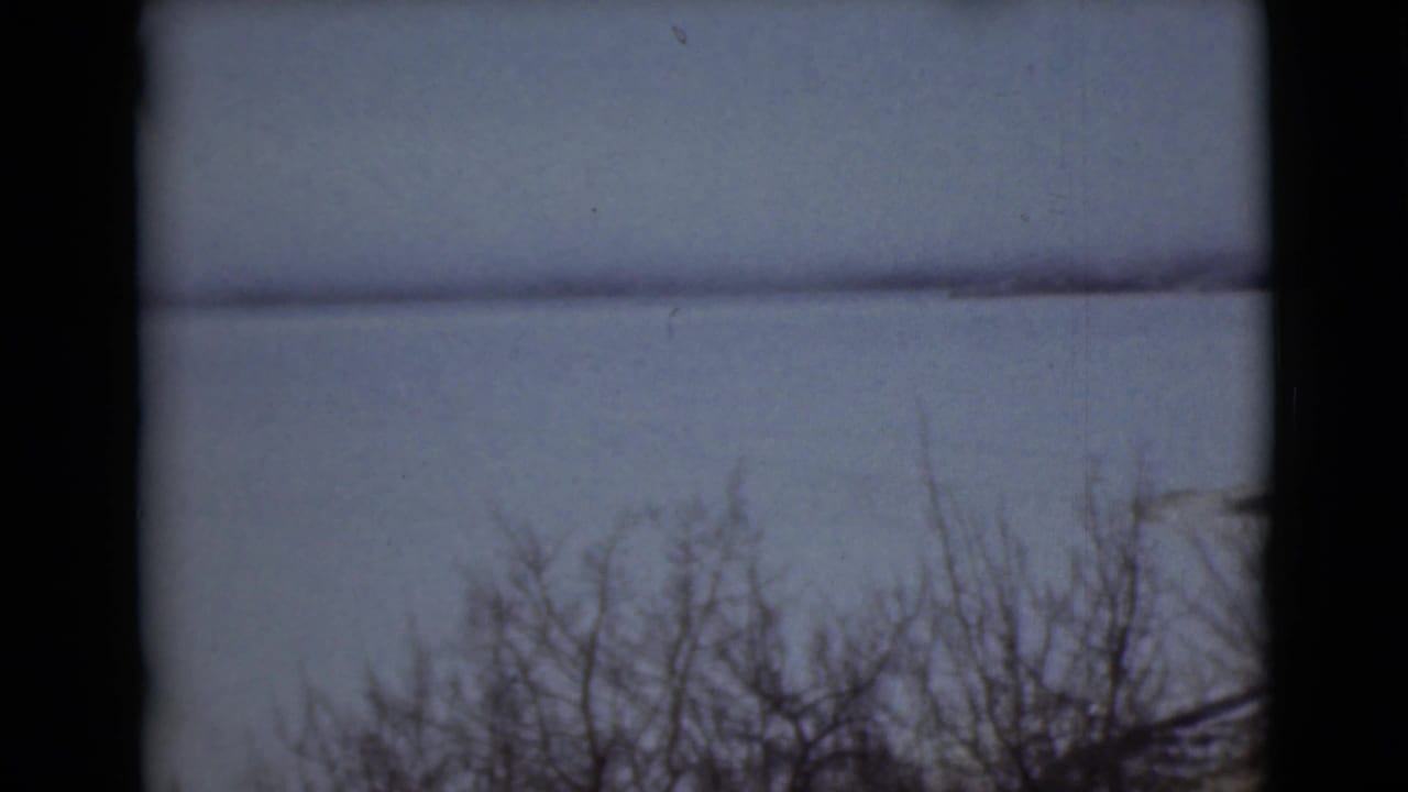 Leafless shrubs and bare branches silhouetted below an overcast sky and distant waterline.