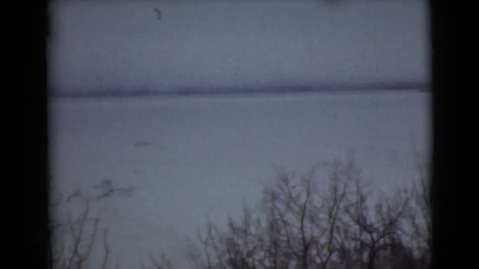 1946 Alaska 8mm view of sparse leafless branches against open water or distant horizon and muted winter sky.