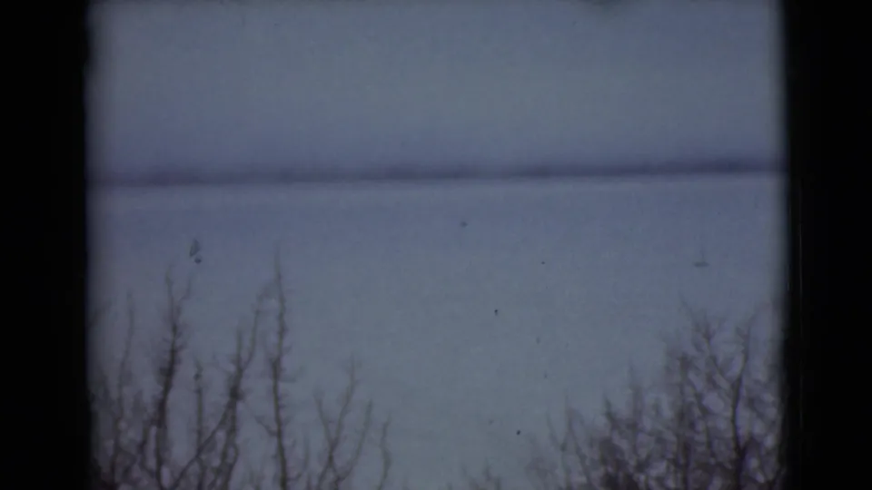 1946 Alaska home-movie frame with thin leafless trees below a subdued open-water or sky horizon.
