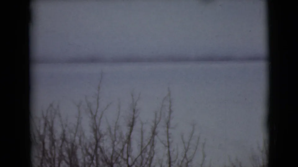 1946 Alaska 8mm frame showing bare winter vegetation beside open water or a distant shoreline under overcast light.