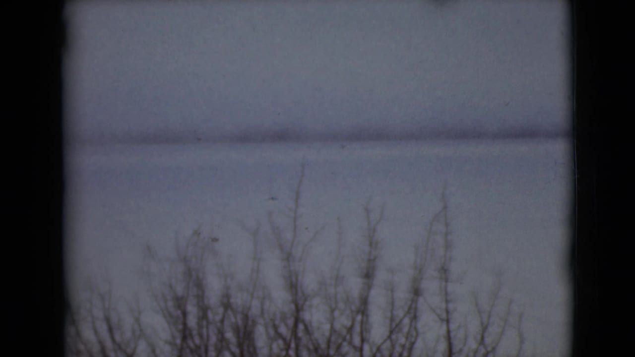 Bare winter branches below a pale overcast sky and snow-covered horizon.