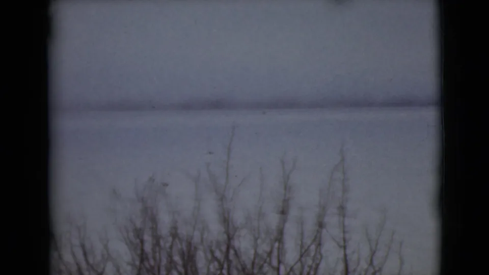 1946 Alaska 8mm frame showing leafless branches at the lower edge, a flat snowy distance, and a muted overcast sky with dark scan borders.