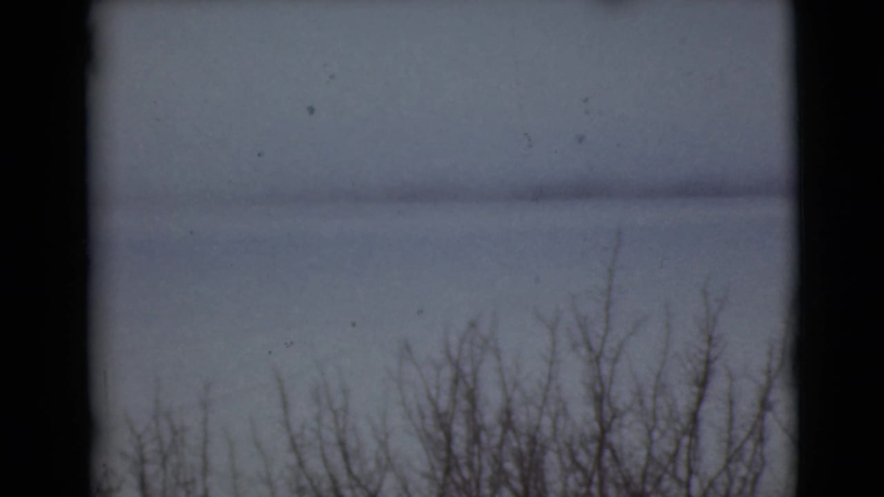 Leafless trees line the lower frame beneath a gray winter sky.