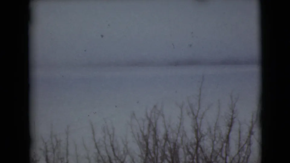 1946 Alaska winter landscape frame with dark bare branches, a pale snowfield beyond them, gray-blue sky, and visible 8mm grain and dust.