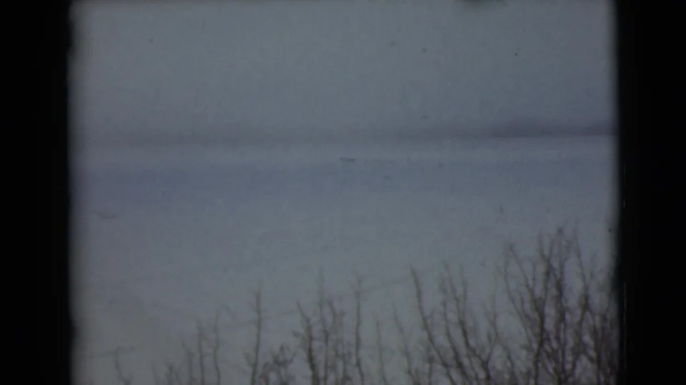 1946 Alaska 8mm frame showing a subdued snow-covered landscape, sparse bare branches near the bottom, a low horizon, and faded color typical of home-movie film.