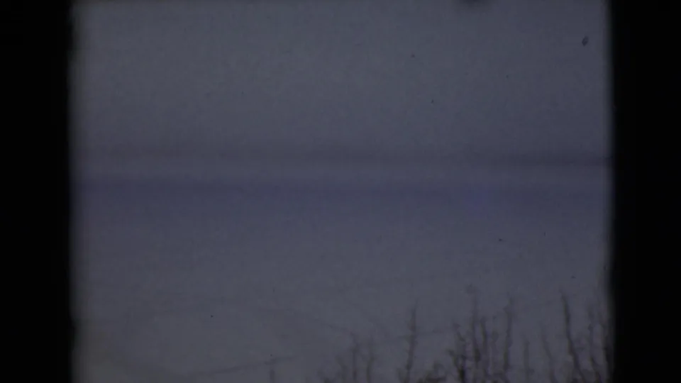 1946 Alaska winter frame with dark leafless branches along the lower edge, a subdued snow-covered distance, gray sky, and pronounced dark frame borders from the scan.