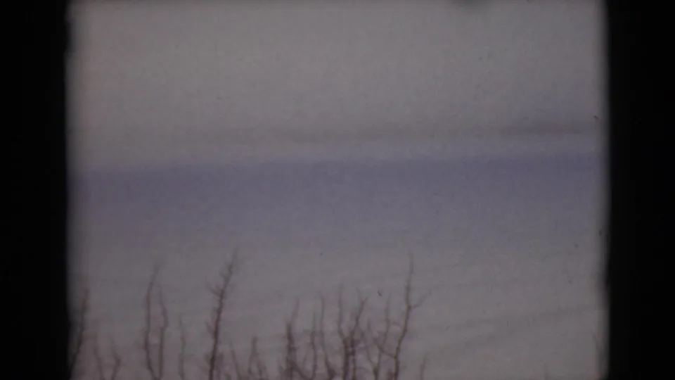 1946 Alaska winter landscape frame with a broad snowfield, distant leafless brush, and visible 8mm gate edges.