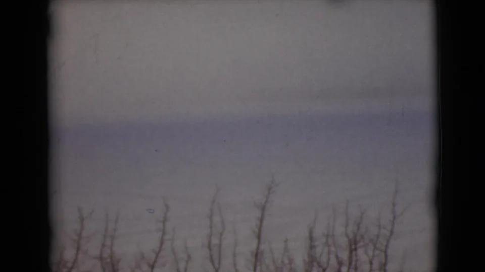 1946 Alaska home-movie frame showing low winter brush against a pale snowfield and subdued sky.