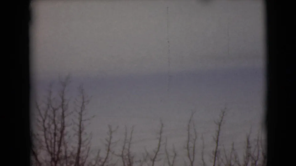 1946 Alaska 8mm frame with clustered bare brush in the foreground, snow beyond, and a pale overcast sky.