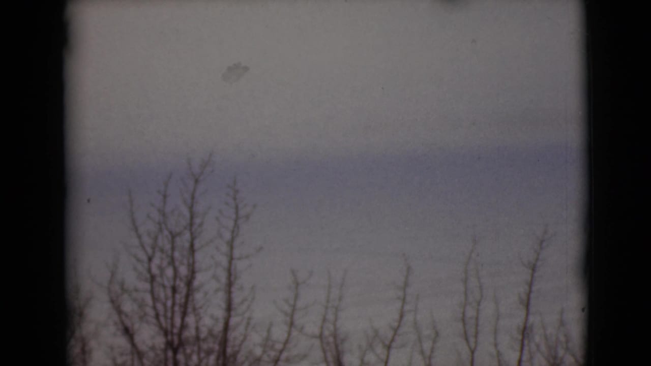 Bare tree branches below a muted overcast sky with dark film edges.