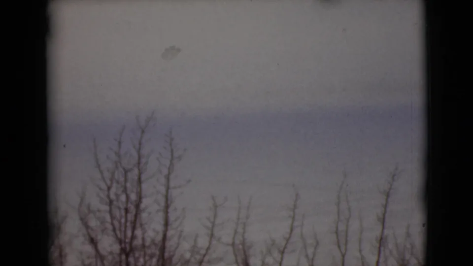 1946 Alaska 8mm frame showing bare winter branches against a soft gray-purple overcast sky.