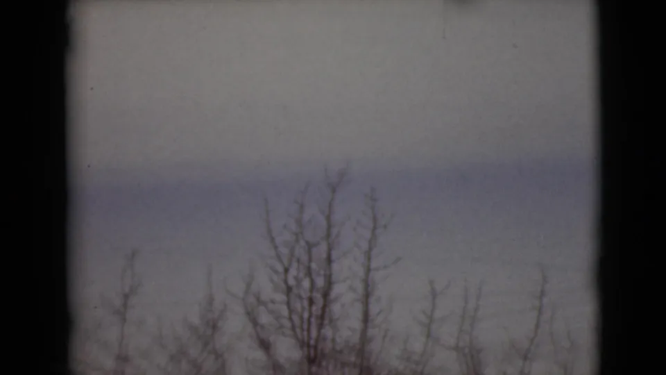 1946 Alaska winter view with leafless branches silhouetted against a pale, cloudy sky on 8mm film.