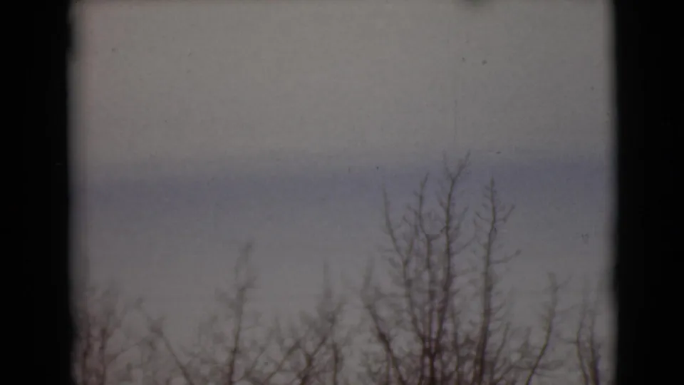 1946 Alaska 8mm frame with sparse bare trees under a flat winter sky and muted exposure.