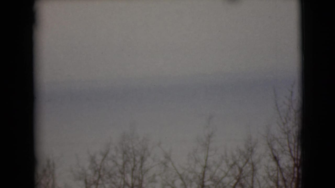 Bare winter branches below a pale sky, with the landscape partly obscured by soft exposure.