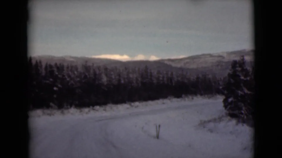 1946 Alaska winter landscape with snow-covered ground, evergreen forest, and distant mountains under a pale sky.