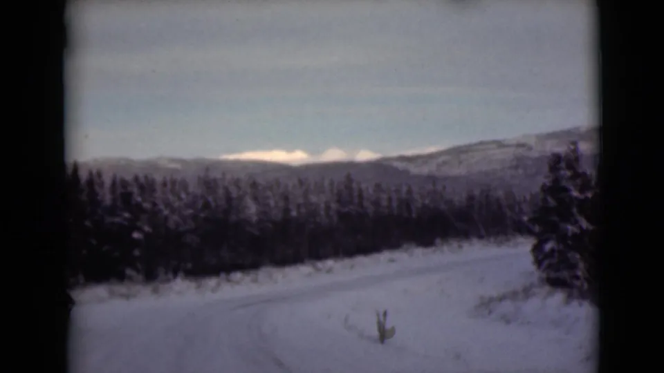 1946 Alaska winter scene showing snow, small brush, forest, and distant mountains in soft 8mm color.