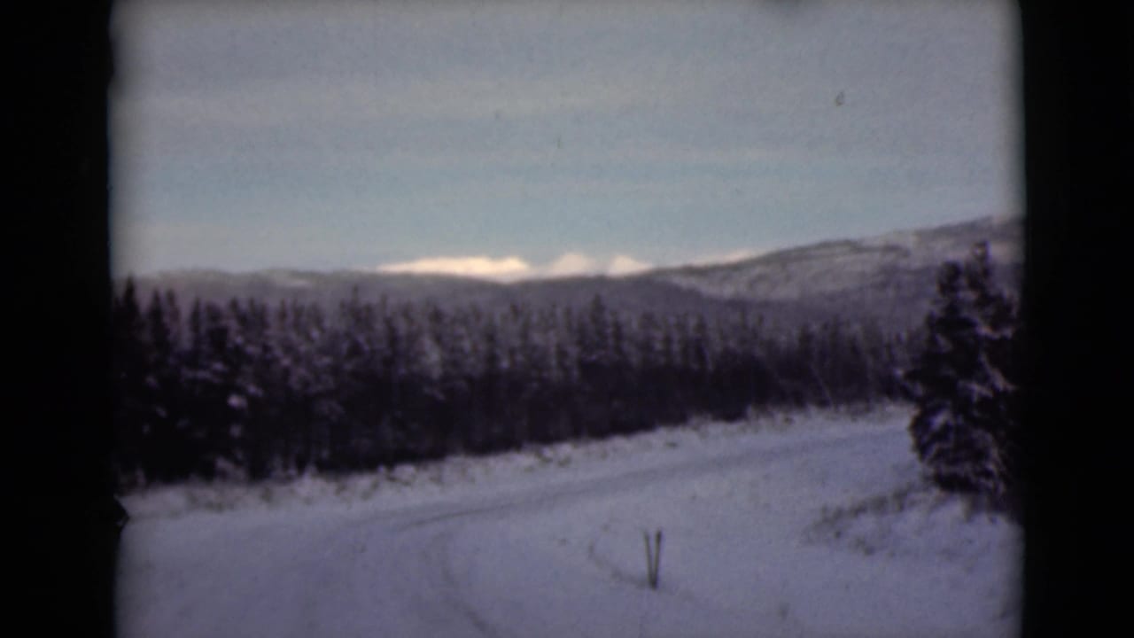Snowy road curving through dark conifer forest with distant winter mountains.