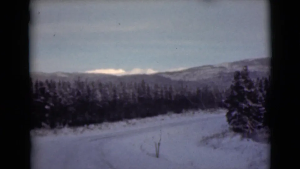 1946 Alaska 8mm view of a snowy forest road, dark trees, and distant mountain ridges under a cold pale sky.