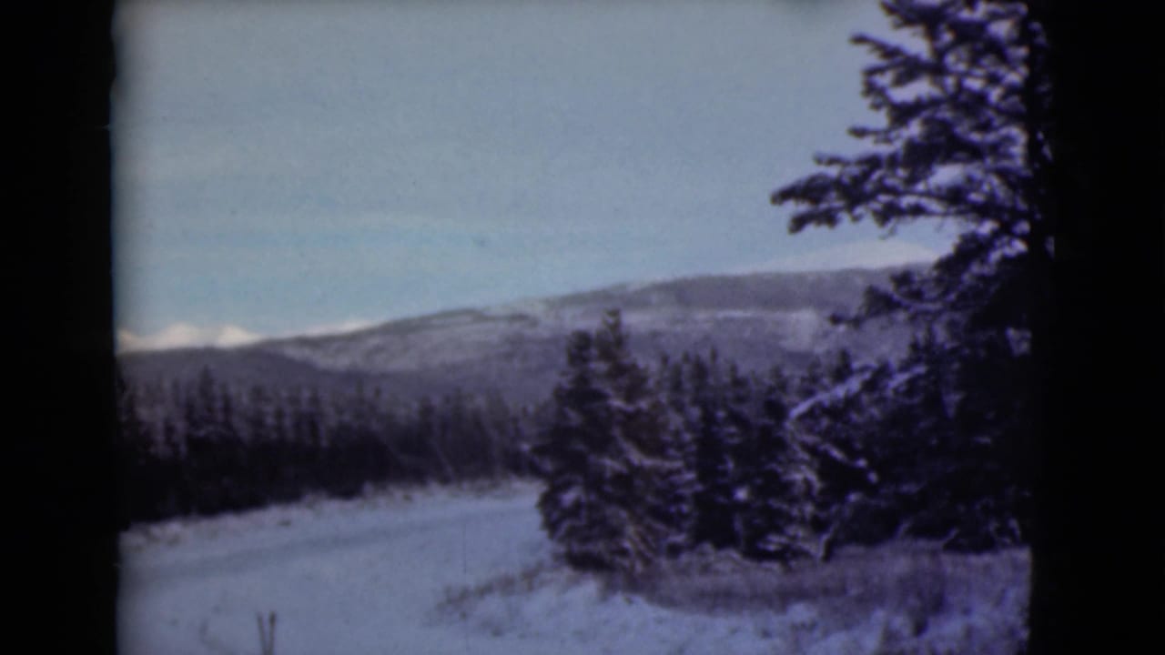 Snowy evergreen trees and distant mountains beneath a pale blue sky.