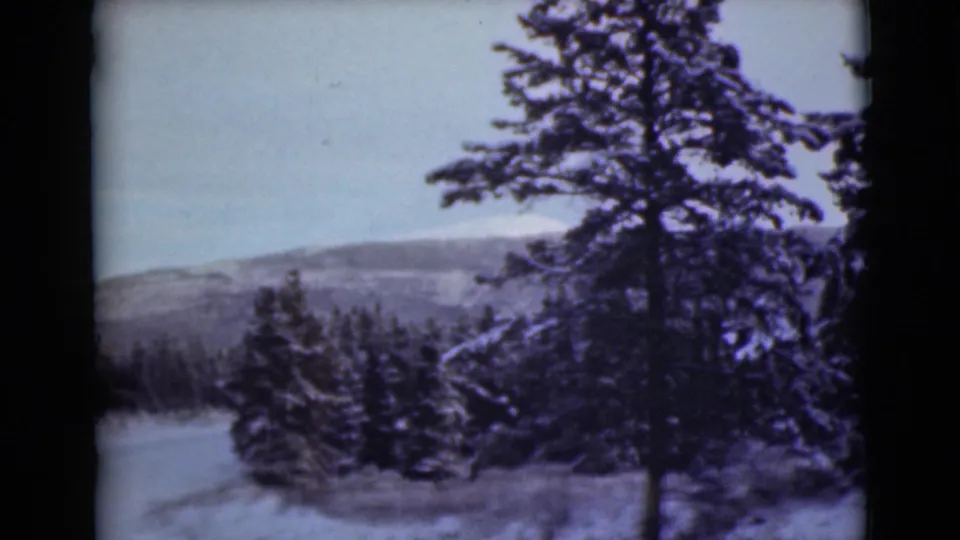 1946 Alaska home-movie frame with a tall evergreen in the foreground and snow-covered hills beyond.