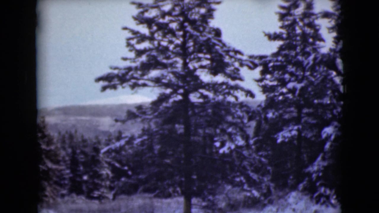 Snow-covered evergreen trees stand against a pale sky with distant hills beyond.