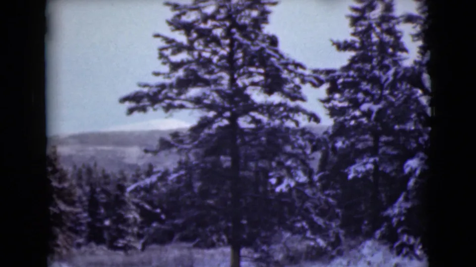 1946 Alaska 8mm frame of snow-laden evergreen trees in a quiet winter forest with distant terrain beyond.