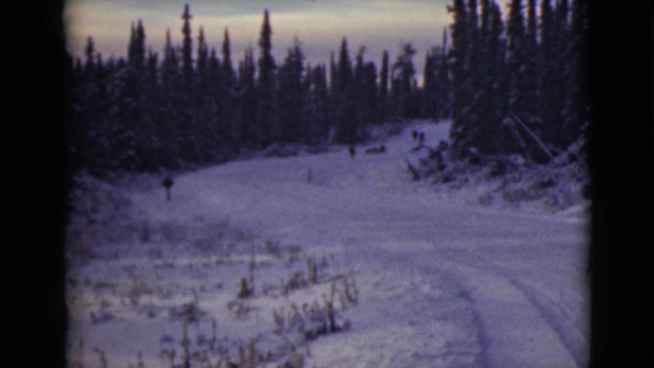 1946 Alaska 8mm frame showing a snow-covered road through evergreens with tiny distant people or animals ahead.