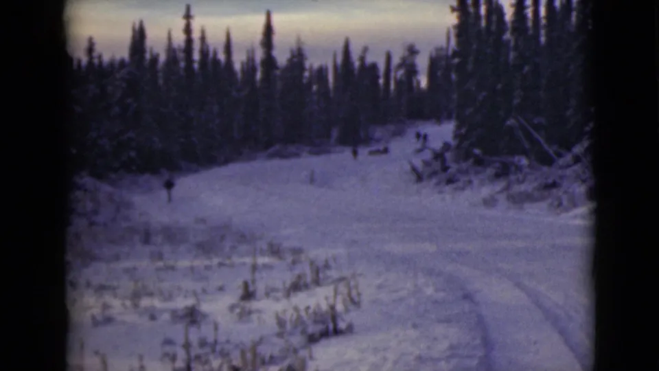 1946 Alaska 8mm frame showing a snow-covered road through evergreens with tiny distant people or animals ahead.