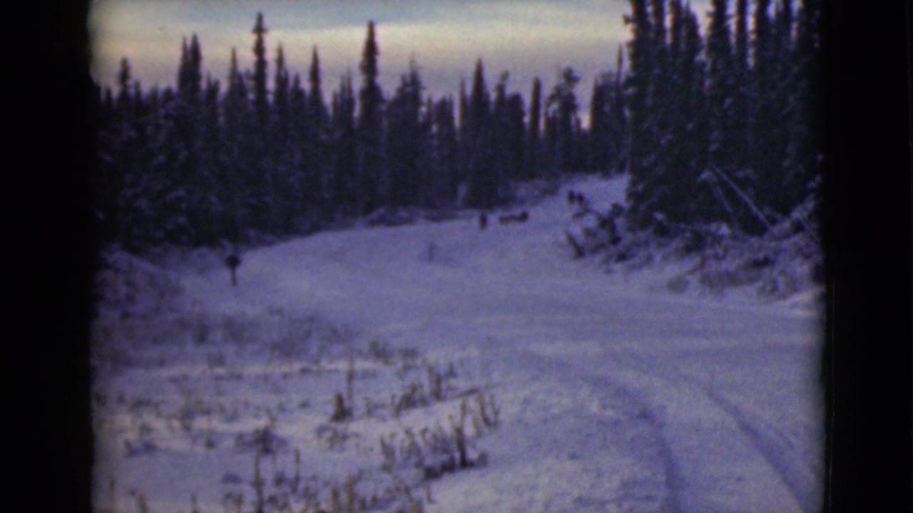 Snow-covered road and evergreen trees with distant movement near the bend.