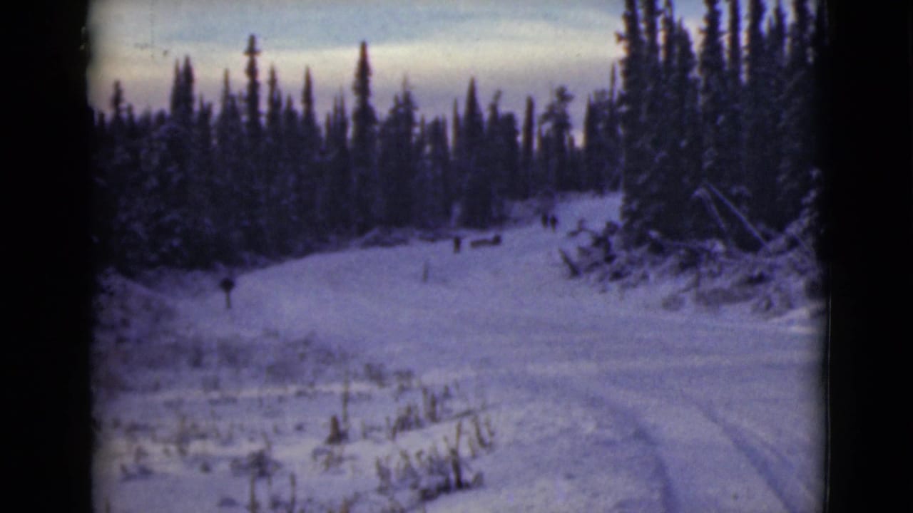 Snowy forest trail with dark evergreens, faint tracks, and distant figures near sled-like shapes.