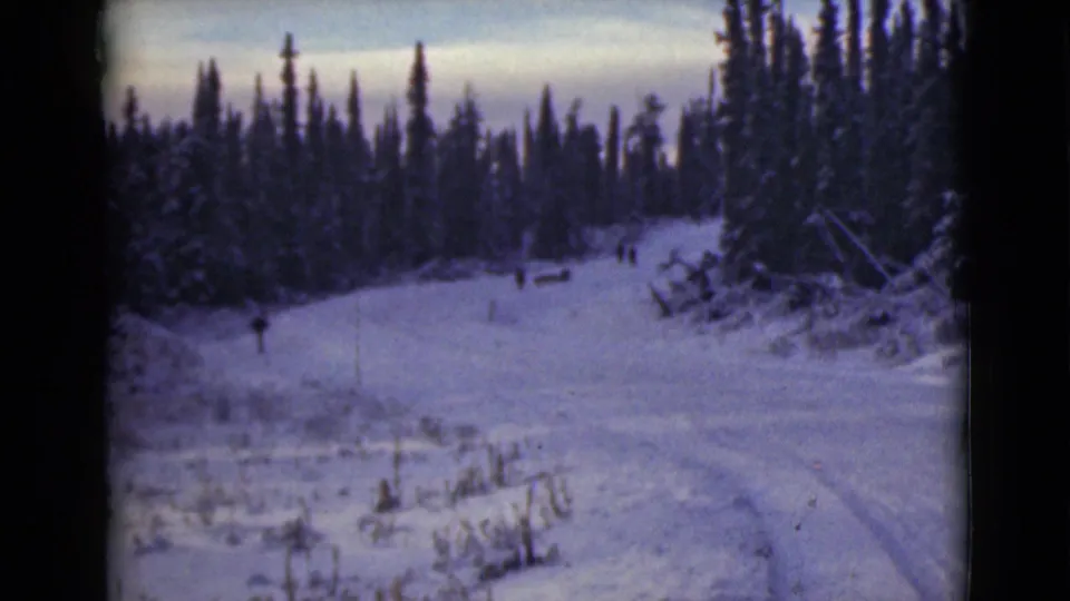 A 1946 Alaska winter trail scene with distant figures moving through deep snow between tall, dark evergreen trees.