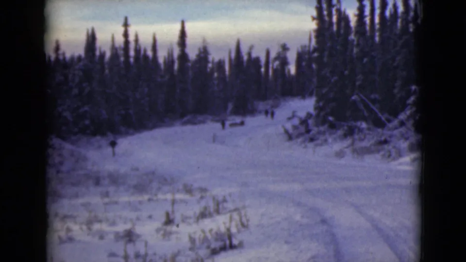 Soft 8mm view of a snowy Alaska forest path, with distant travelers set against tall trees and blue-toned winter light.