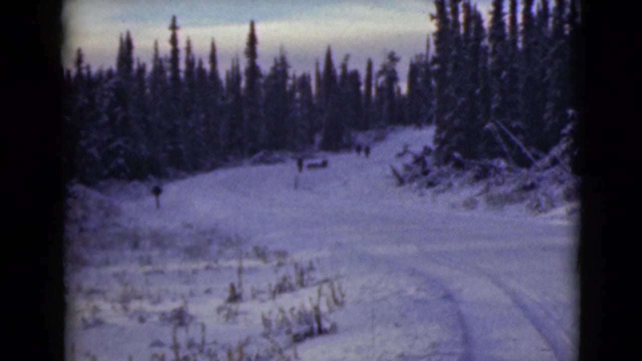 1946 Alaska 8mm frame showing a snowy forest road, distant walkers, sled tracks, and tall evergreens.
