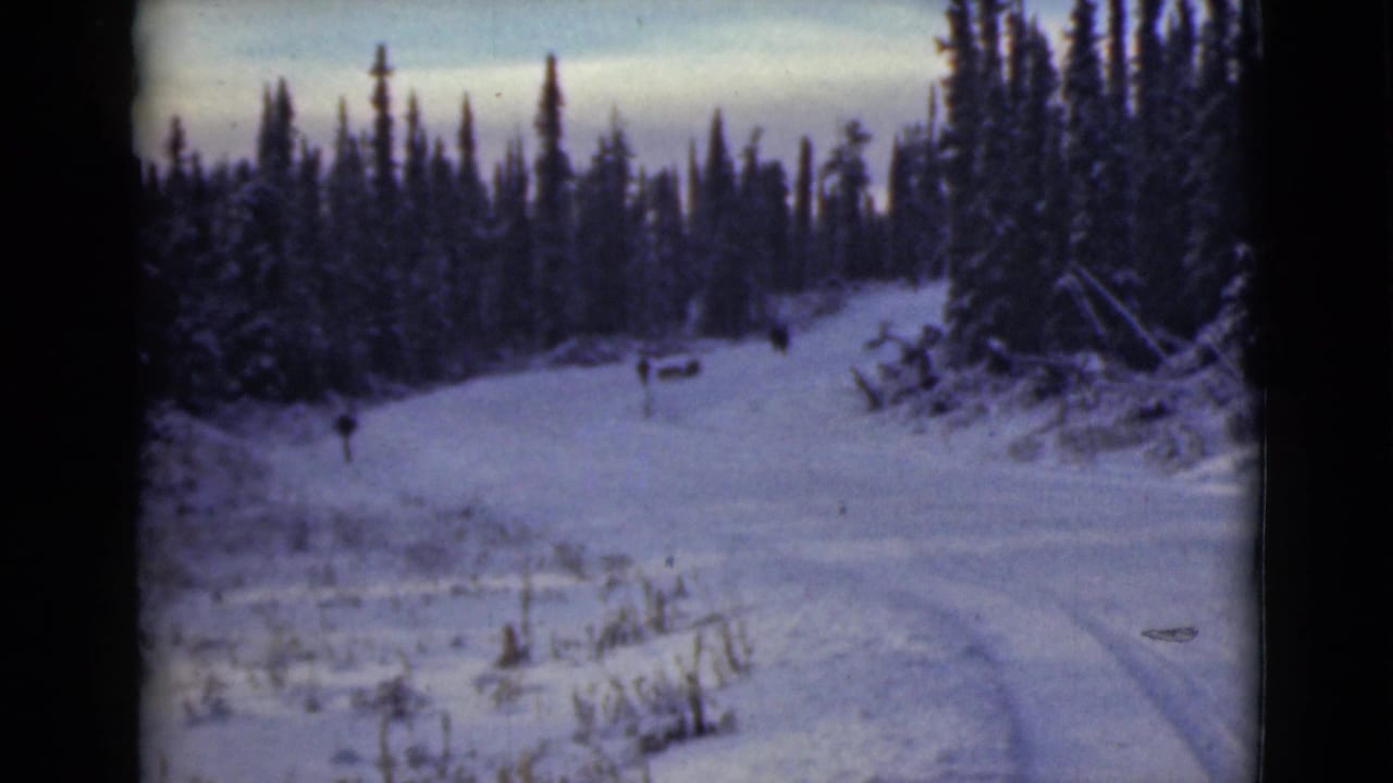 Snowy road bordered by evergreens with small figures in the distance.