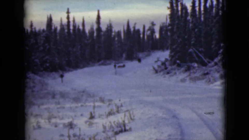 1946 Alaska 8mm frame of a winter road through dense evergreens, with distant people on the snowy path.