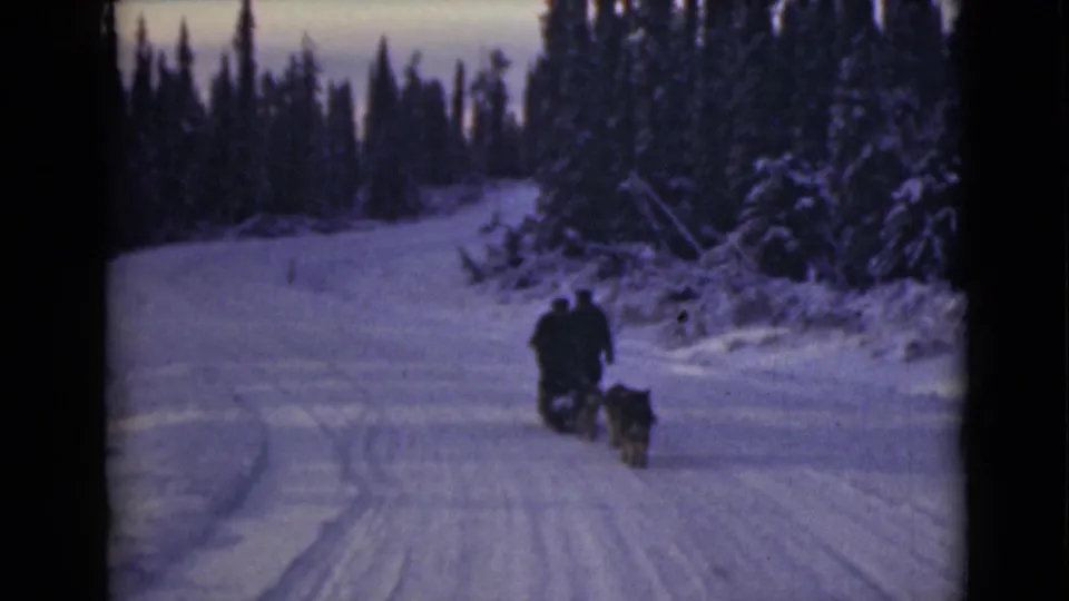 The dog sled team continues away through a snowbound Alaska forest, with riders seen from behind on the trail.