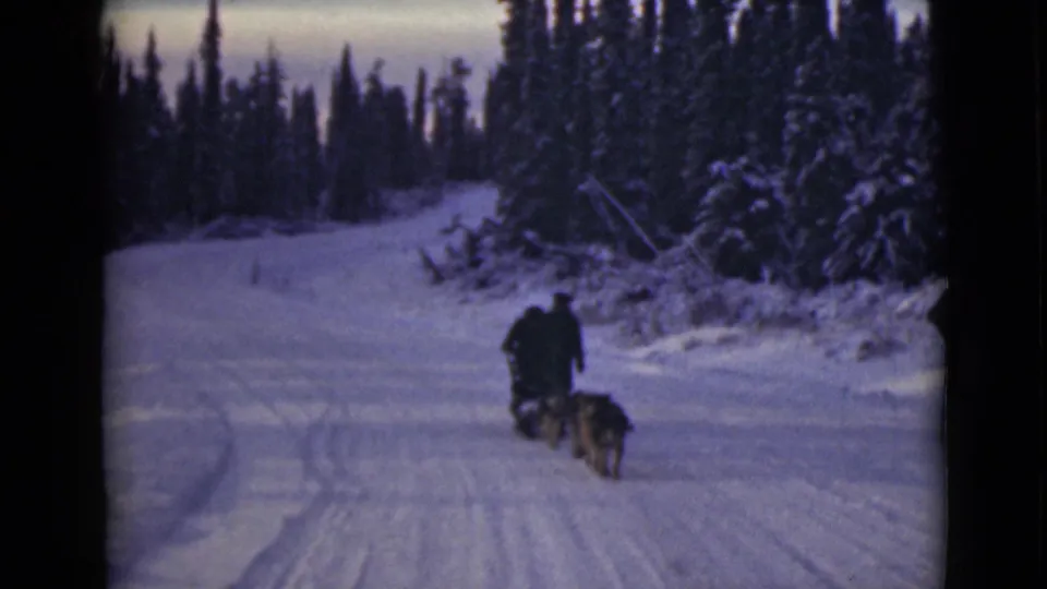 Two riders on a sled follow a dog team along a snowy Alaska trail, framed by dark winter evergreens.