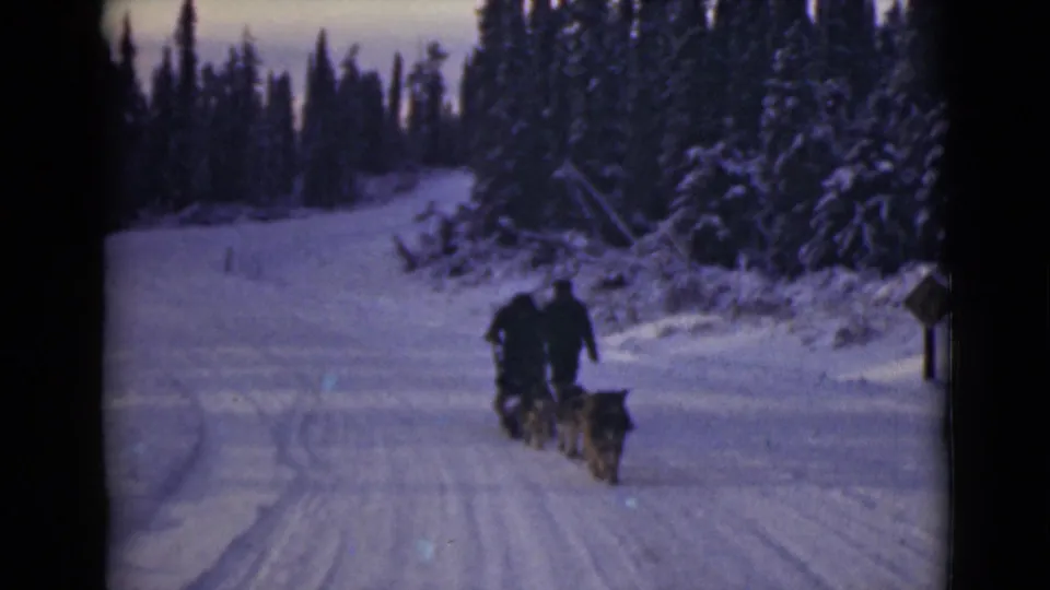 Near the end of the clip, the sled riders and dogs continue away on the snow-covered Alaska forest road.