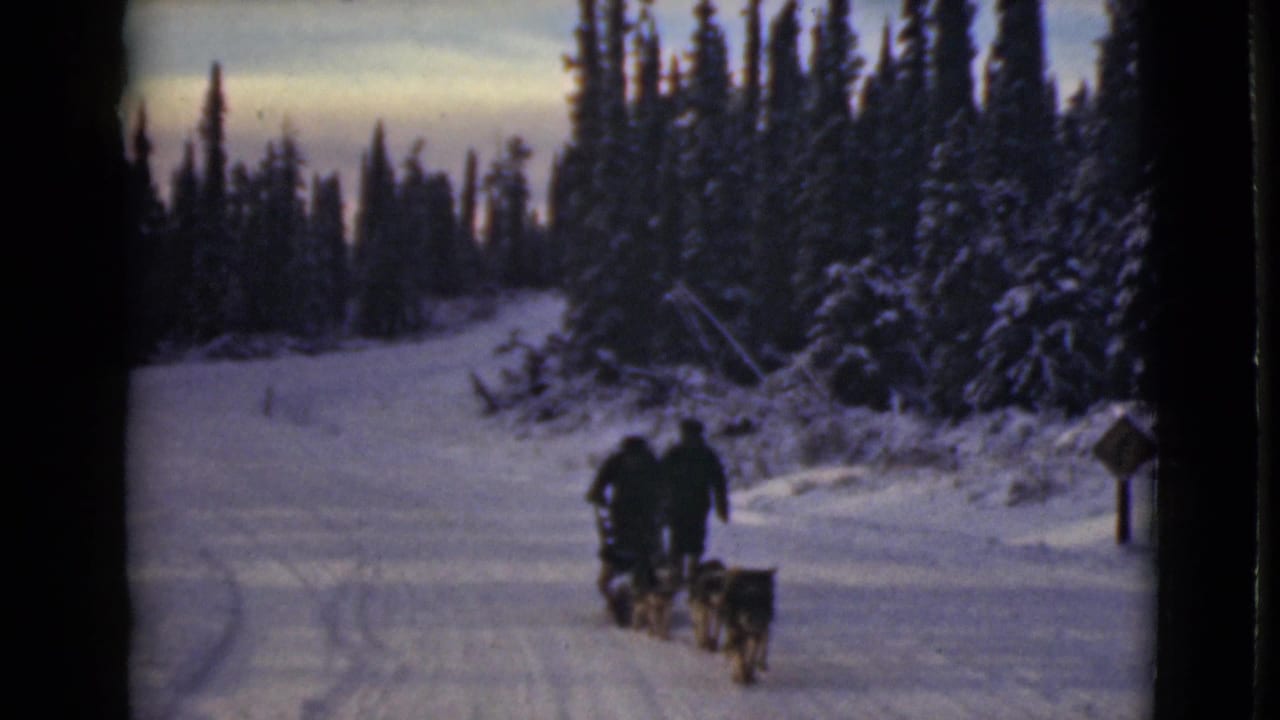 Two bundled men walk a dog sled team away on a snowy forest trail.