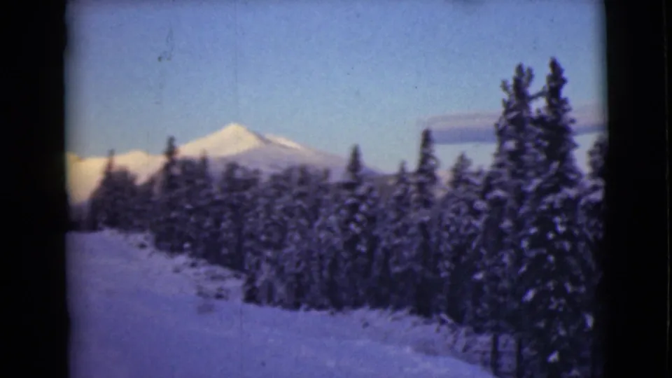 A snowy Alaska forest opens toward a distant mountain peak under a pale blue winter sky.